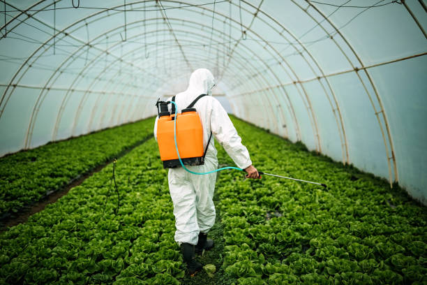 Trusted Cascade Locks, OR Pest Control Experts