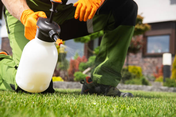 Best Cockroach Control Services  in Cascade Locks, OR