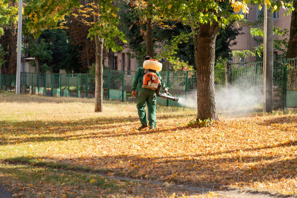 Best Flea Control Services  in Cascade Locks, OR