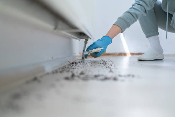 Best Commercial Pest Control Services  in Cascade Locks, OR